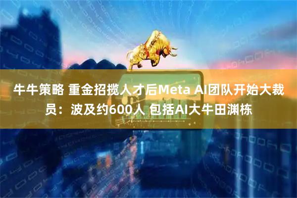 牛牛策略 重金招揽人才后Meta AI团队开始大裁员：波及约600人 包括AI大牛田渊栋