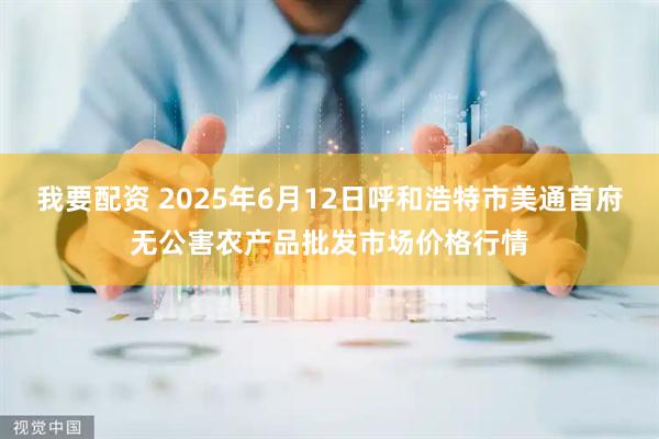 我要配资 2025年6月12日呼和浩特市美通首府无公害农产品批发市场价格行情