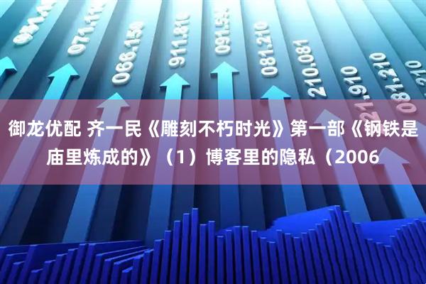 御龙优配 齐一民《雕刻不朽时光》第一部《钢铁是庙里炼成的》（1）博客里的隐私（2006